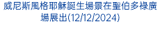 威尼斯風格耶穌誕生場景在聖伯多祿廣場展出(12/12/2024)